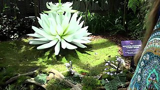 Czech amateur blowjob and fucking POV in public