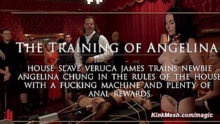 Slave trains newbie to serve knob
