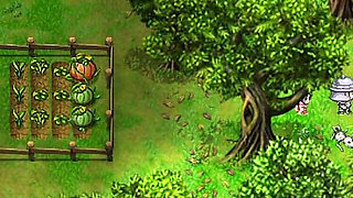 Getting a Prostitute Pregnant for Money