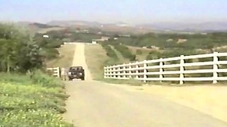 MILF POV Big Cock Blowjob