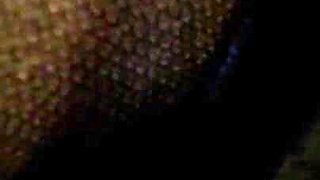 You're Beneath Me, Literally