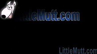 Exciting teen lesbians massage xxx soul-stirring video