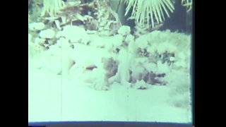 Hot vintage sex outdoor by the swimming pool!