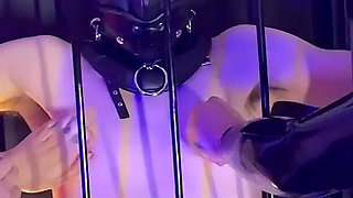 Teasing Our Caged Slave