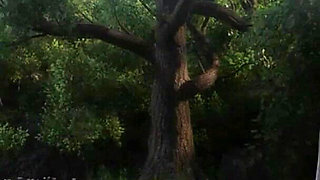 The Genesis Order V21041 Part 51 Madalyn Is Back! by Loveskysan69