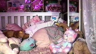 Shemale tranny enjoying solo masturbation