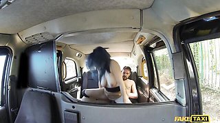 Gentle puss's outdoor video