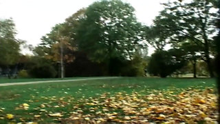 Teenenger Fucked in the Park and Squirted in Mouth