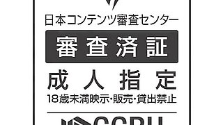 Rent a Dick? a Sexually Aggressive Woman Who Calls in a Handyman to Ask Him Into Erotic Acts and Enjoys It! Tsutsumi Serina
