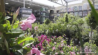 Magic carpet ride: Blowjob, Doggy  Big Tits Porn