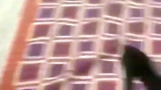 Black Girl sucks my cock while talking on the phone