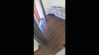 Best Friend Rough Anal Fucks My Wife - Real Homemade Cheating