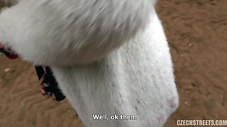 Czech Streets 113 Tour guide from Karlstejn