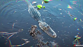 Spicy MILF exciting outdoor clip