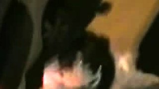Cute brunette amateur blowjob