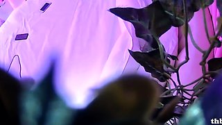 Amateur Hidden Cam with Dildo Wives