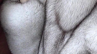 Outdoor Fur Teasing, Fur Coat, Fur Gloves, Fur Hat. Perfect Fur Fetish Sex!