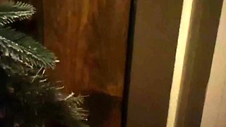 Hardcore big cock blowjob vids