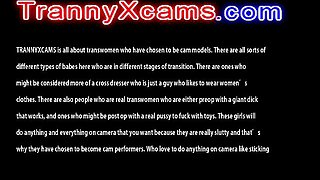 Sexy shemale strips on cam for the best masturbation