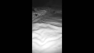 Hot Ukrainian Wife Cheats on Husband with His Friend - Rough Anal & Taboo Sex