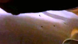 Korean Amateur Sucks Cock in Bathroom Gloryhole
