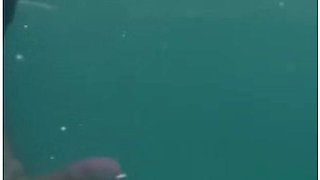 I Prepared Myself For Half Day But In The Beach Got 90 Y Old Hairy Monster Cock As Always