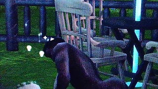 Sims 4 Felicity the Fairy and Kash the Werewolf