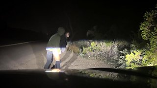 Pulled Over to Fuck Blonde Babe on the Roadside