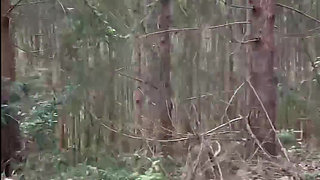 "I went out with my neighbor... and the unexpected happened"