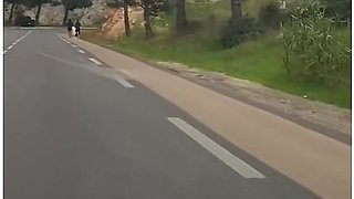 J Drained Two Joggers Balls