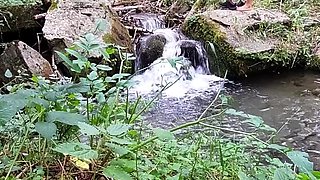 Reality european amateur sucks cock for cash outdoors