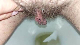 Hairy Housewife GinnaGg Pissing Close Up Toilet Pee Play