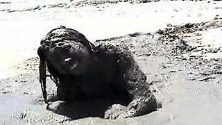 Hot Big Black Latina booty Black and Ebony