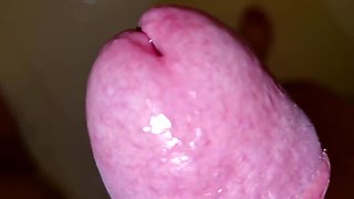 SONNY WITH A AMPLE BONER ARRIVES - HE FINDS HIS STEP-MOM'S UNDIES AND WANKS OFF IN HER LIVING APARTMENT AT THE RISK OF BEING Caught - HE GROANS AND LUVS A JIZZ SHOT THAT HE GULPS