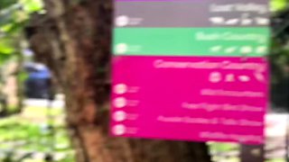 A Real Australian Experience With Aussie Hottie Jade Harper