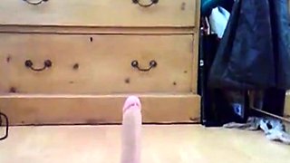 BBW Chub Rides Dildo on Webcam