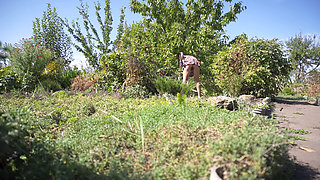 Watching Hot Neighbor Working in Garden