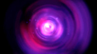 Chloe Temple Gets Down on All Fours to Show off Her Beautiful Ass and Pussy