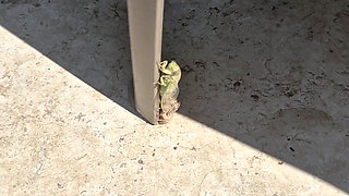 Exhib at the Pool