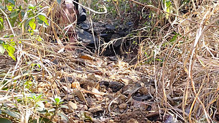 I Fucked My Old Girlfriend in the Forest