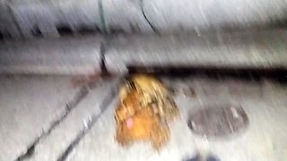 Asian hottie with nice big boobs