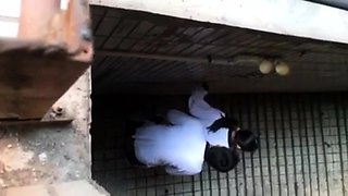 Real Homemade Amateur Hidden Cam 1