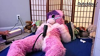 Pink furry Vicky Tart CANNOT GET ENOUGH of VacuGlide.