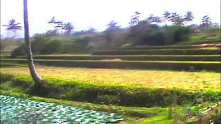 Waterfall Pee And Golden Shower In Bali