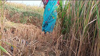 When the Sister-in-law Was Cutting Paddy, the Brother-in-law Fucked the Sister-in-law in the Paddy Field Itself.