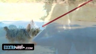 Exxxtrasmall - encaged teenager (Rebel Lynn) fucks a Big Cock