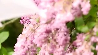Romantic Couple with Sexy Girl Has Sensual Sex in Paradise Park