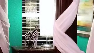 Hot Ass Big Cock Close Up Fuck