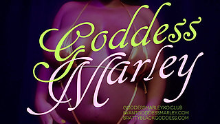 Gold Bikini: Hairy Pussy Cocktease
