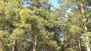 Walk Fishnet Bodystocking